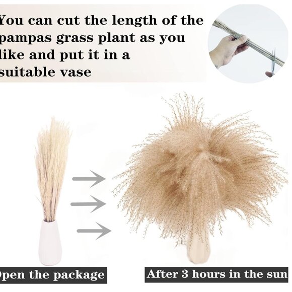 100 PCS Boho Pampas Grass Tails Dried Flowers - Picture 5 of 7